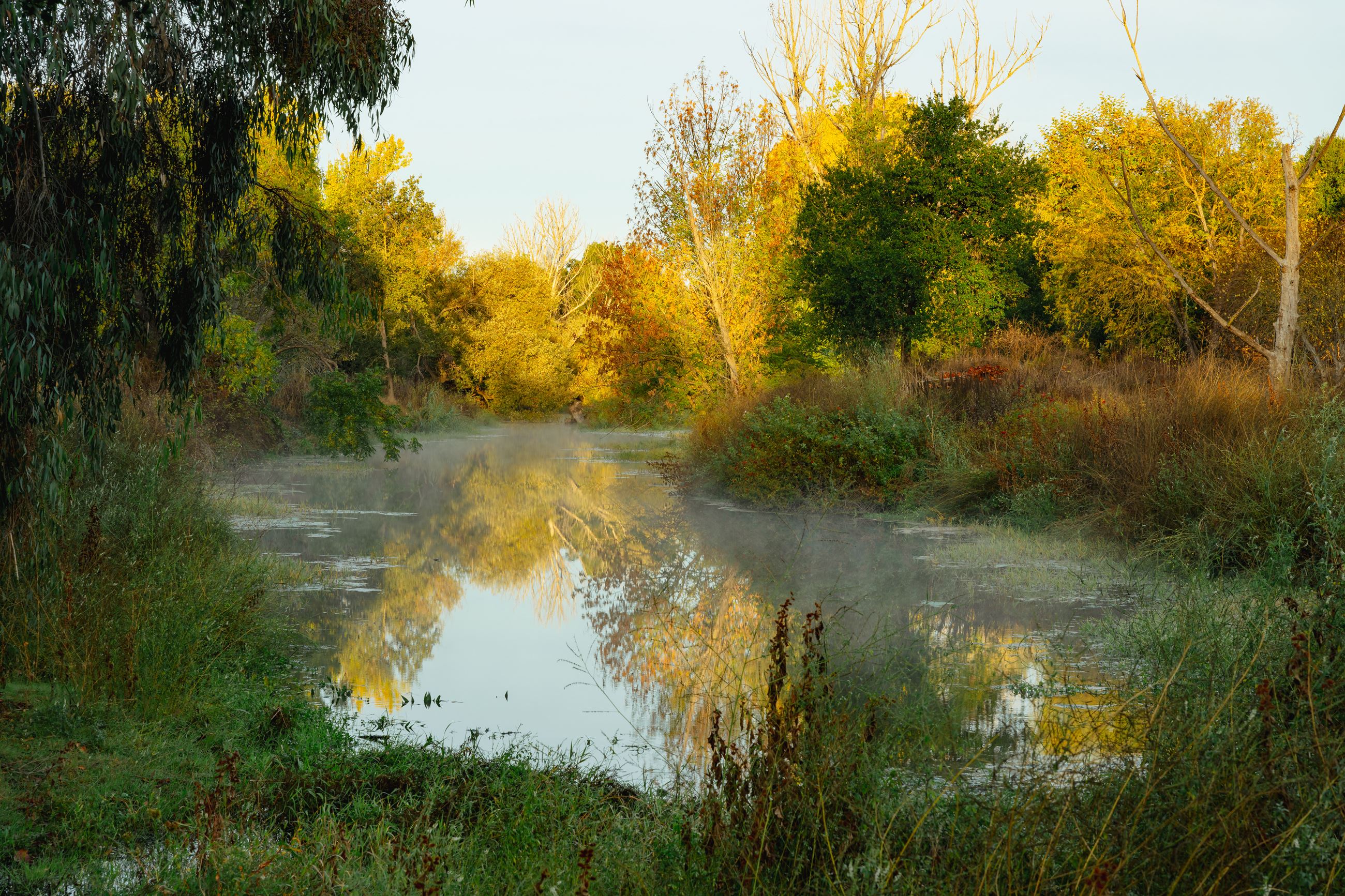 Calm creek surrounded by dense fall foliage with trees reflecting on the water.